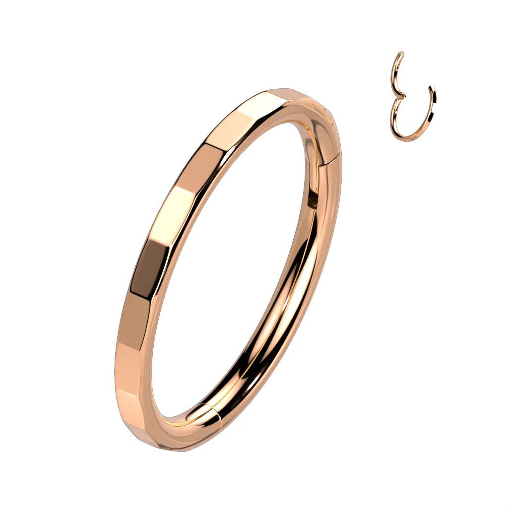 Titanium Hinged Segment Hoop Ring Facets For Nose Septum Cartilage - Image 4