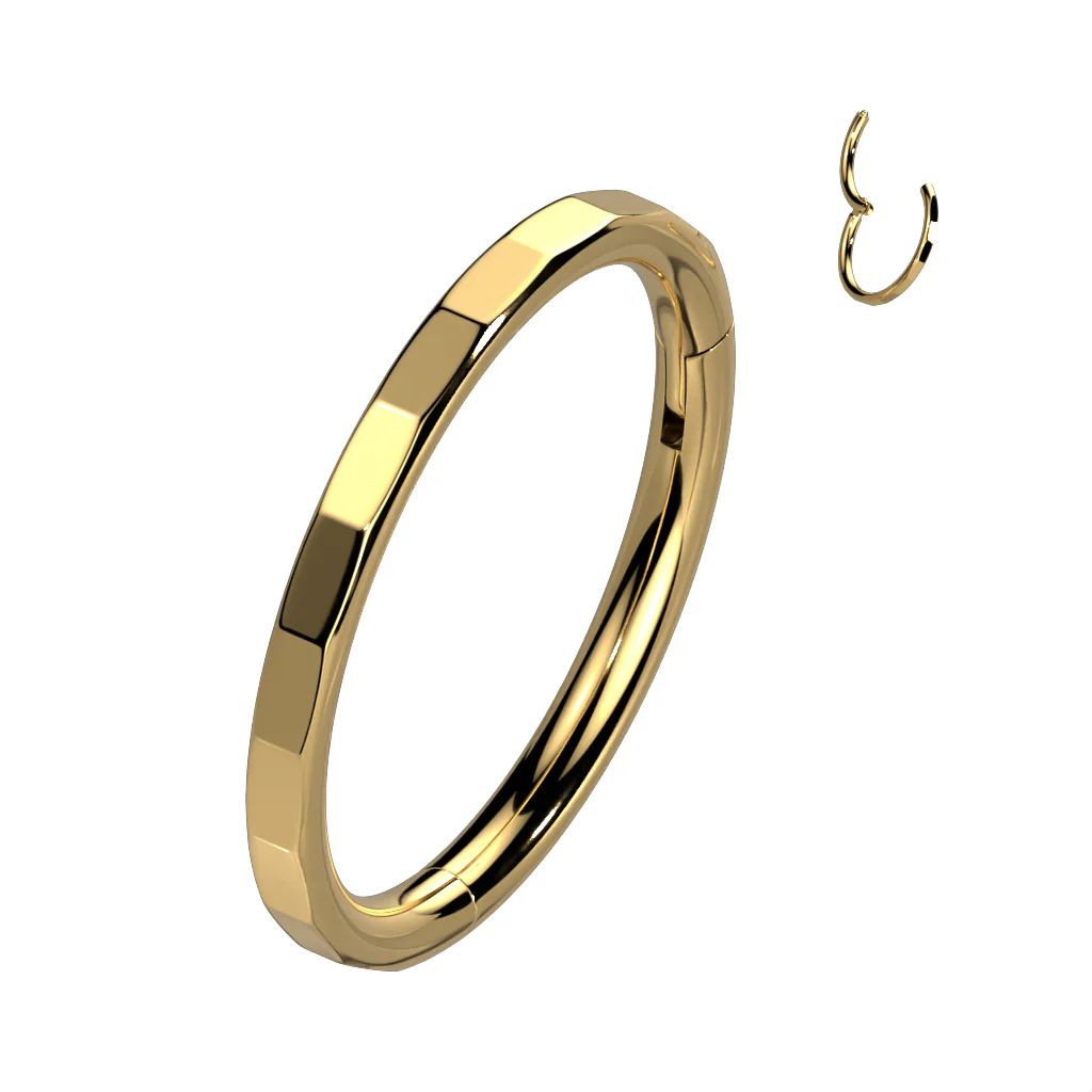 Titanium Hinged Segment Hoop Ring Facets For Nose Septum Cartilage - Image 6