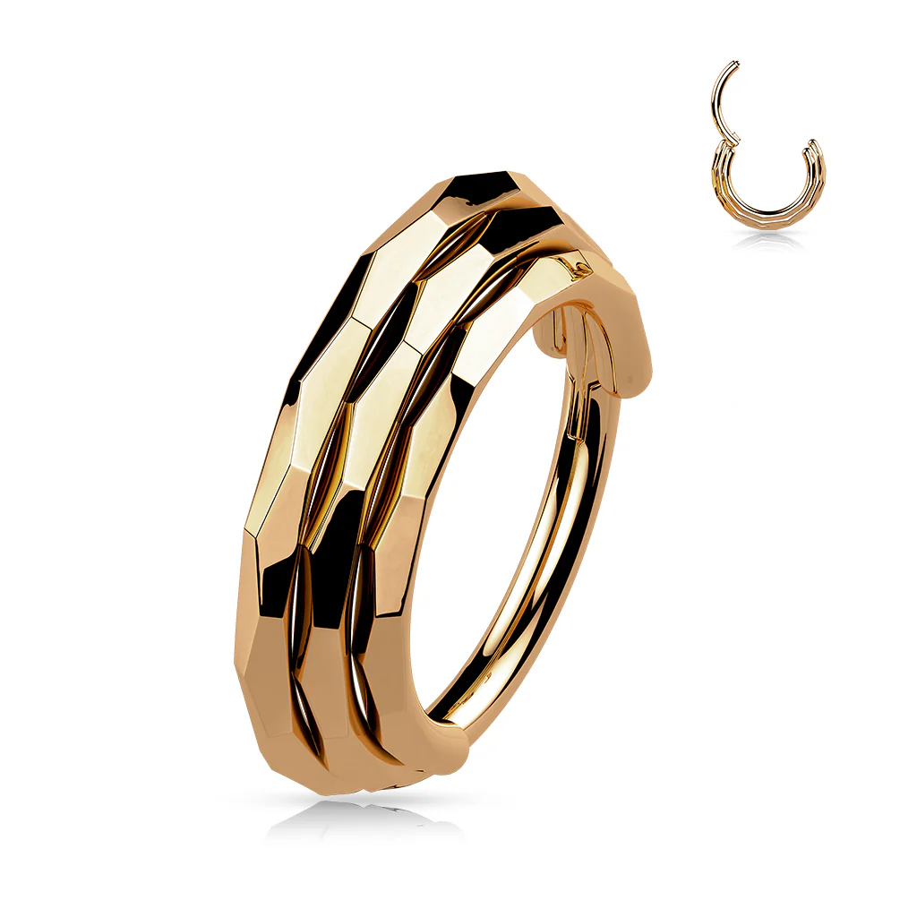Titanium Hinged Segment Hoop Ring Faceted Sides For Nose Septum Cartilage - Image 5