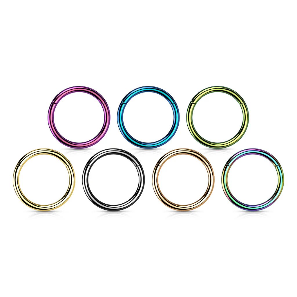 Implant Titanium Hinged Segment Hoop Rings Ear Cartilage 14G - Image 13