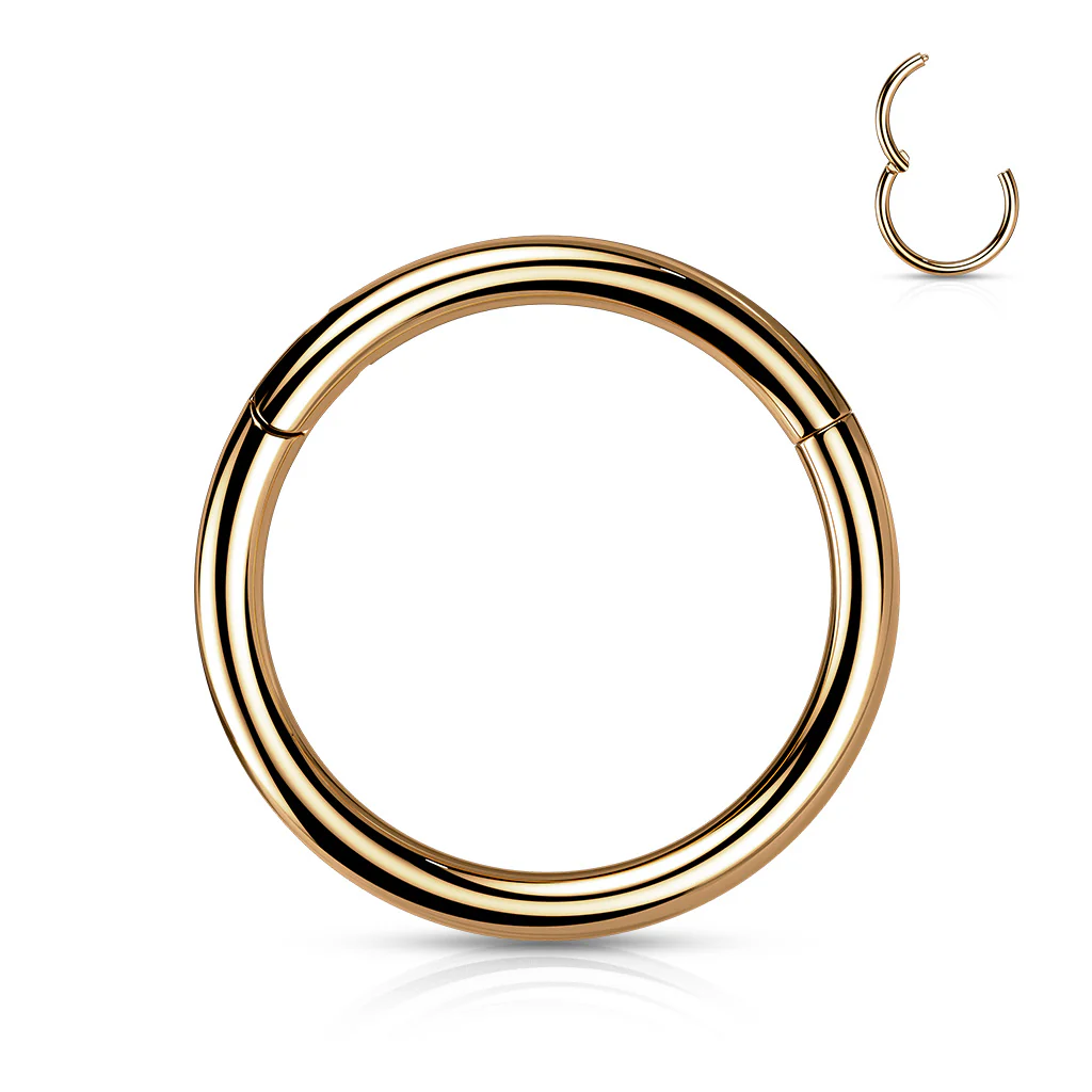Implant Titanium Hinged Segment Hoop Rings Ear Cartilage 14G - Image 15