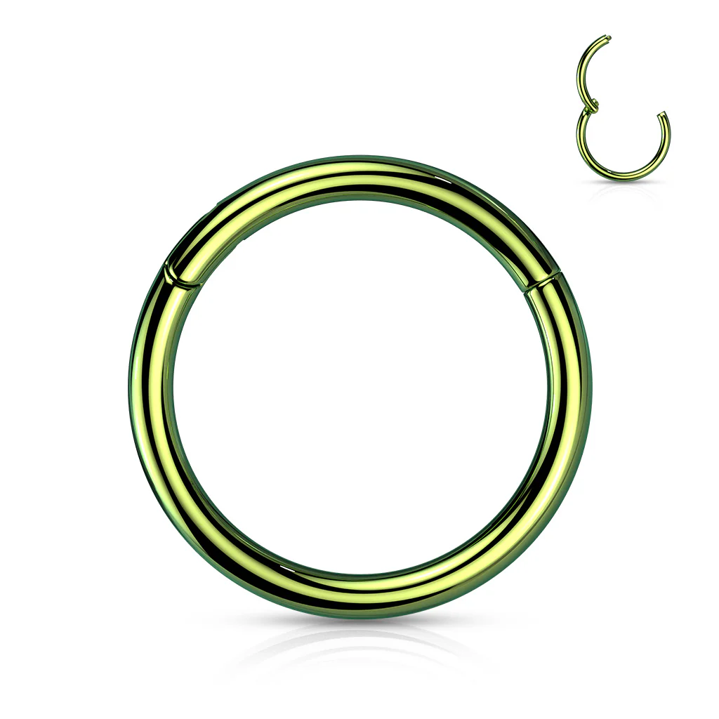 Implant Titanium Hinged Segment Hoop Rings Ear Cartilage 14G - Image 18