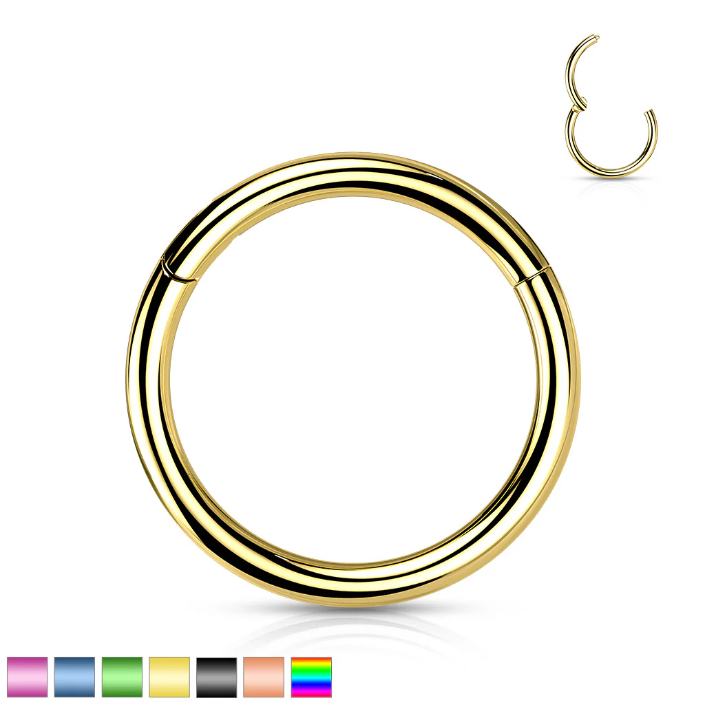 Implant Titanium Hinged Segment Hoop Rings Ear Cartilage 14G - Image 20