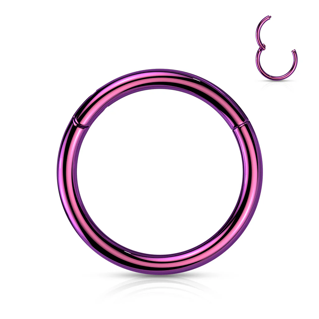 Implant Titanium Hinged Segment Hoop Rings Ear Cartilage 14G - Image 21