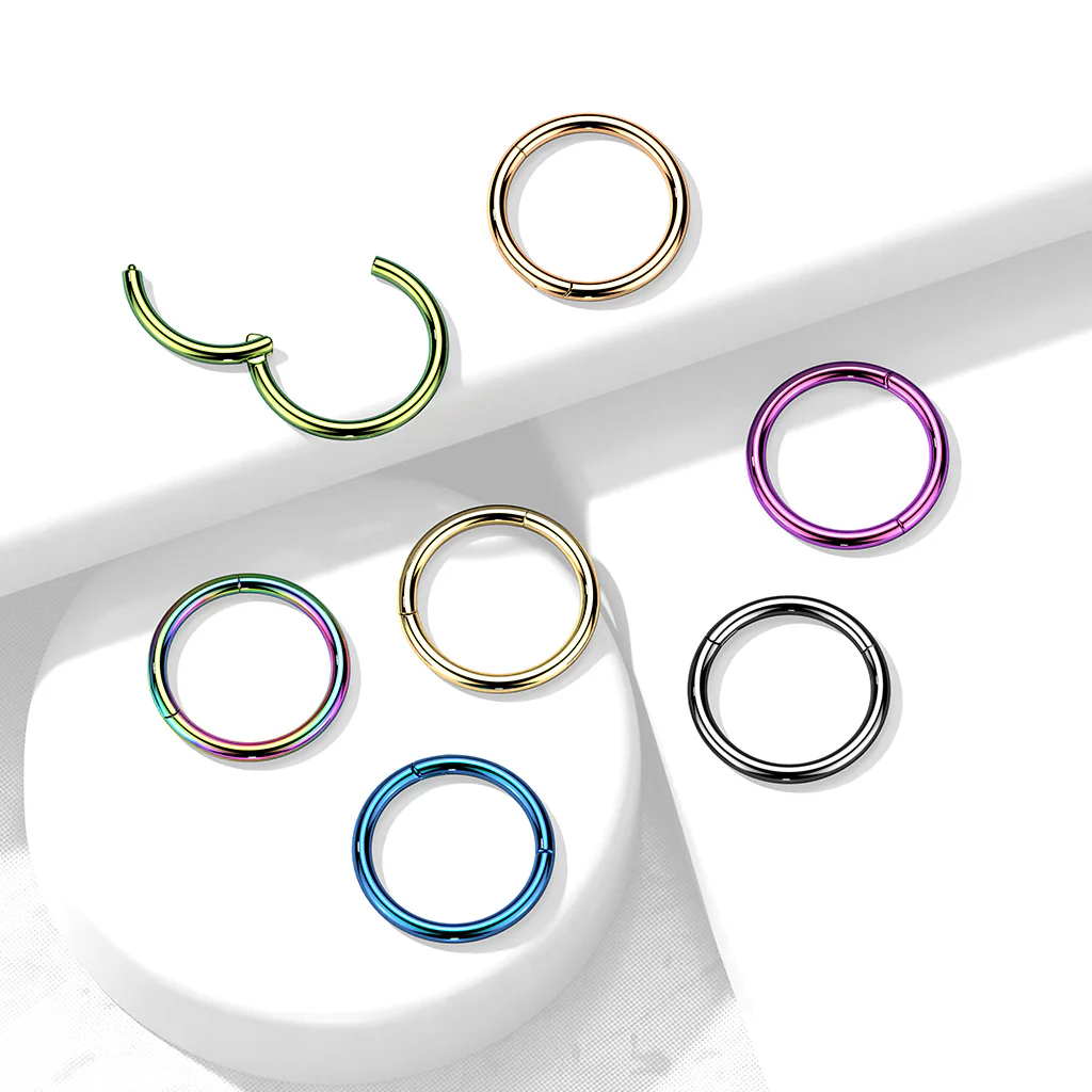 Implant Titanium Hinged Segment Hoop Rings Ear Cartilage 14G - Image 22