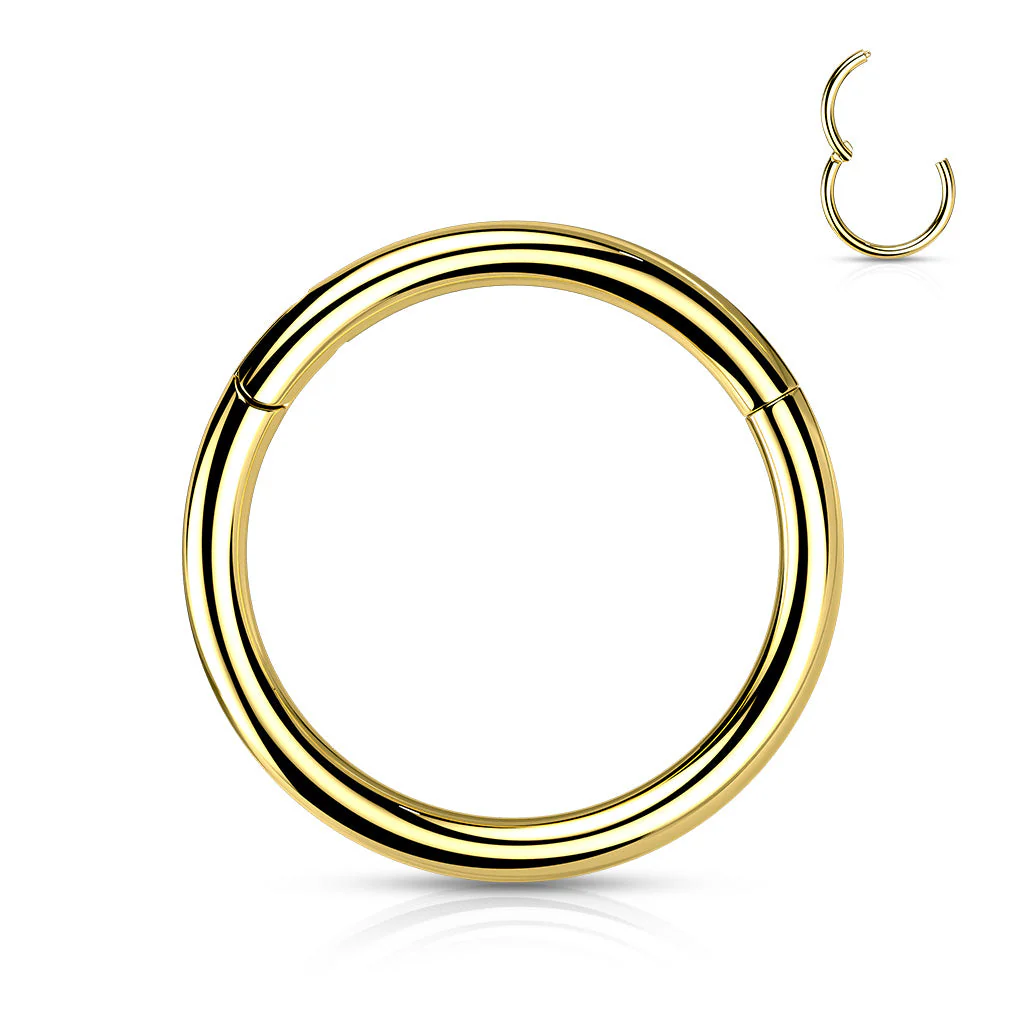 Implant Titanium Hinged Segment Hoop Rings Ear Cartilage 14G - Image 8
