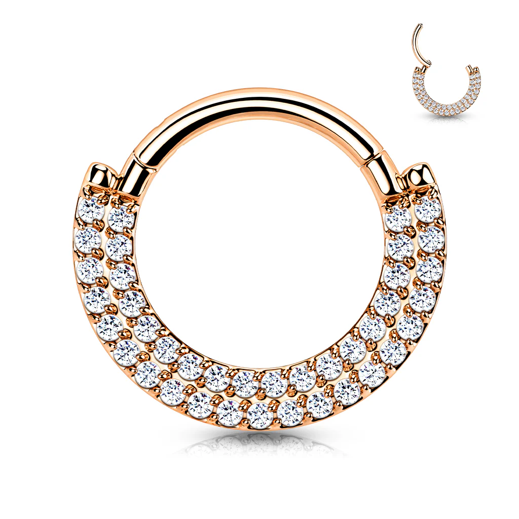 Implant Titanium Double Line CZ Hinged Segment Hoop Rings Septum - Image 6