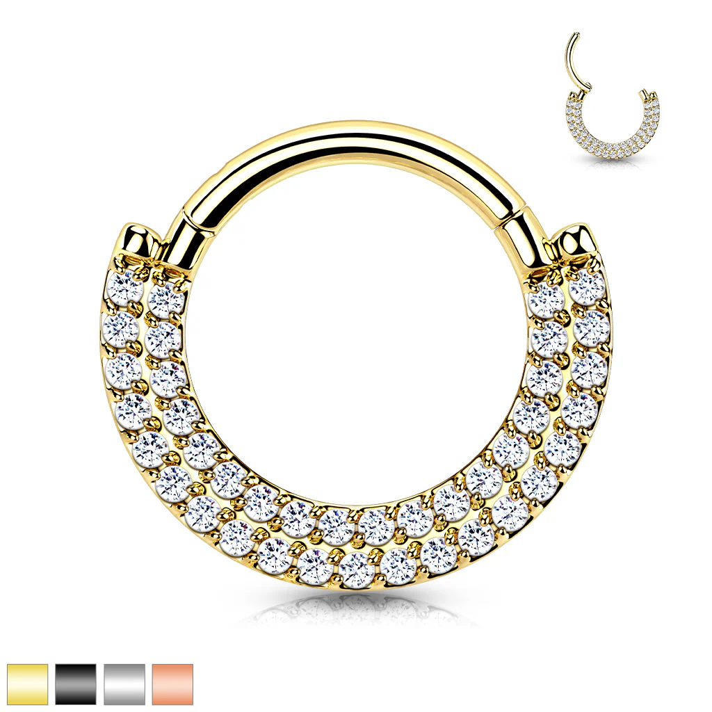 Implant Titanium Double Line CZ Hinged Segment Hoop Rings Septum - Image 9