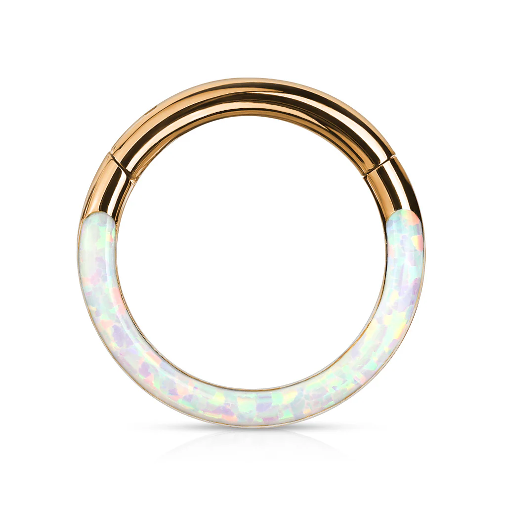 Precision Opal Set Front All Surgical Steel Hinged Segment Hoop Ring Ear Cartilage - Image 10