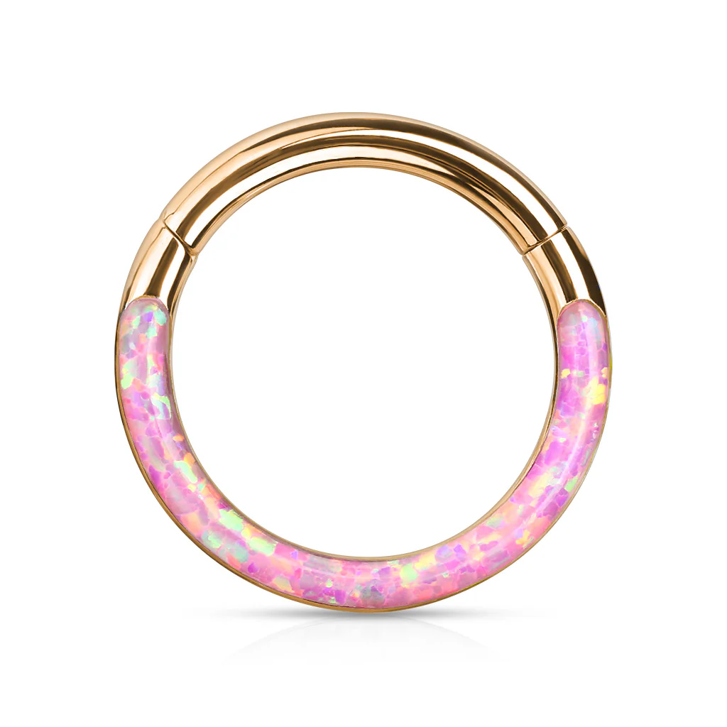 Precision Opal Set Front All Surgical Steel Hinged Segment Hoop Ring Ear Cartilage - Image 11