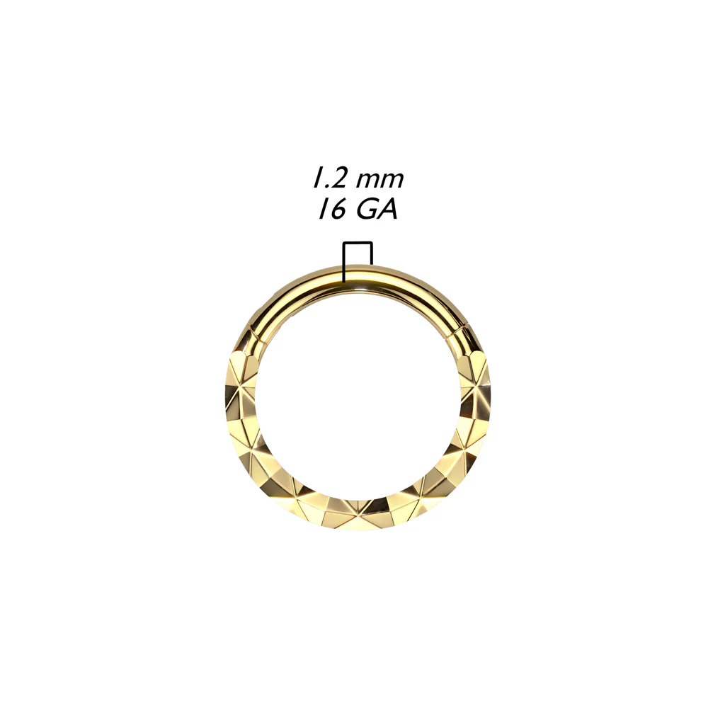 Precision Forward Facing Faceted Hinged Segment Hoop Rings - Image 2