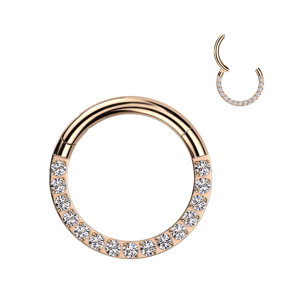 Titanium Hinged Segment Hoop Ring CZ Front For Nose Septum Cartilage - Image 6