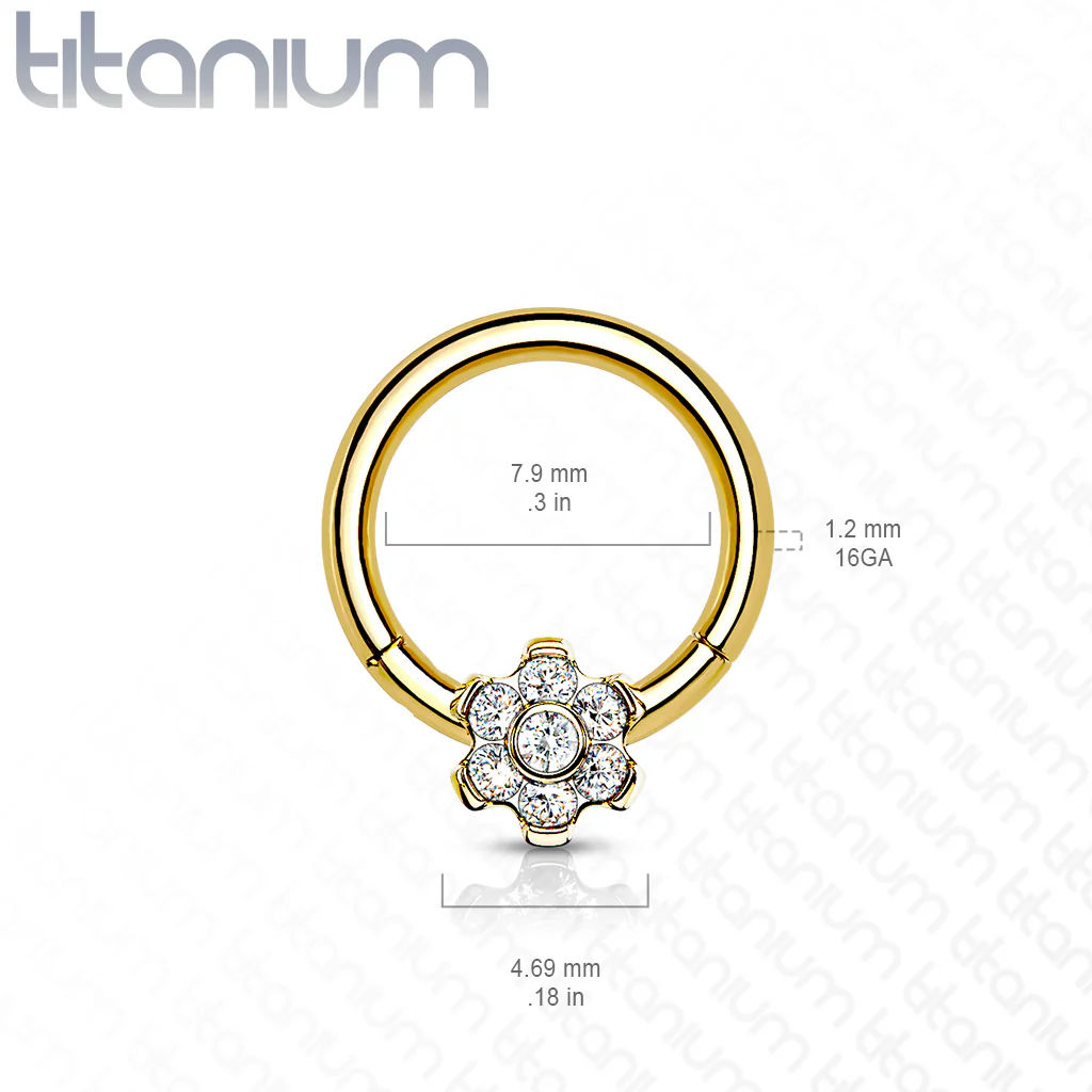 Titanium Hinged Segment Hoop Ring CZ Petal For Nose Septum Cartilage - Image 3