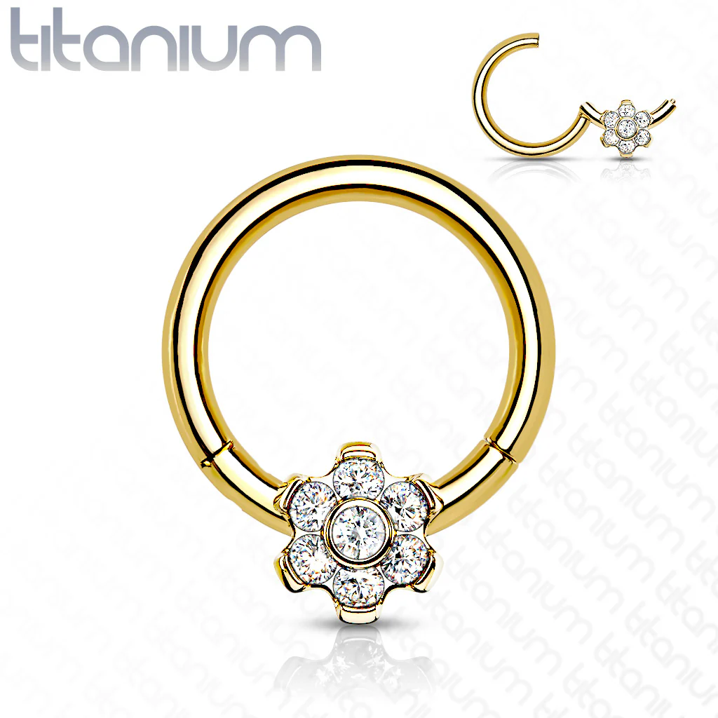 Titanium Hinged Segment Hoop Ring CZ Petal For Nose Septum Cartilage - Image 4