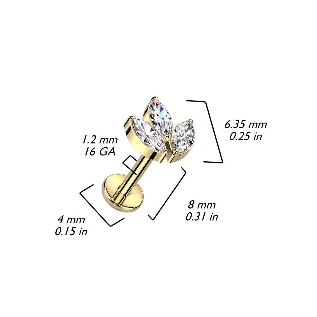 Titanium With 3 Marquise CZ Leaf Top Labret Ear Cartilage Tragus - Image 2