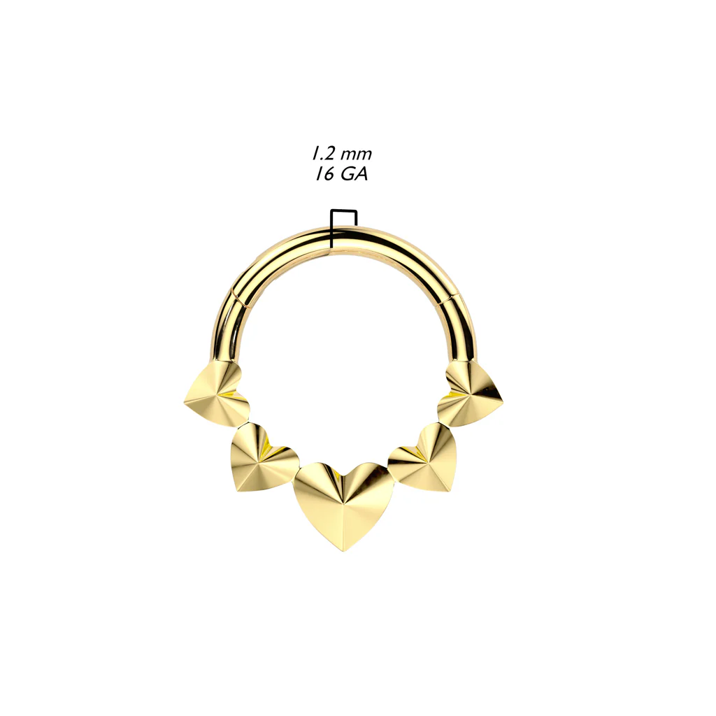 Titanium Hinged Segment Hoop Ring Front 3 D Hearts For Nose Septum Cartilage - Image 2
