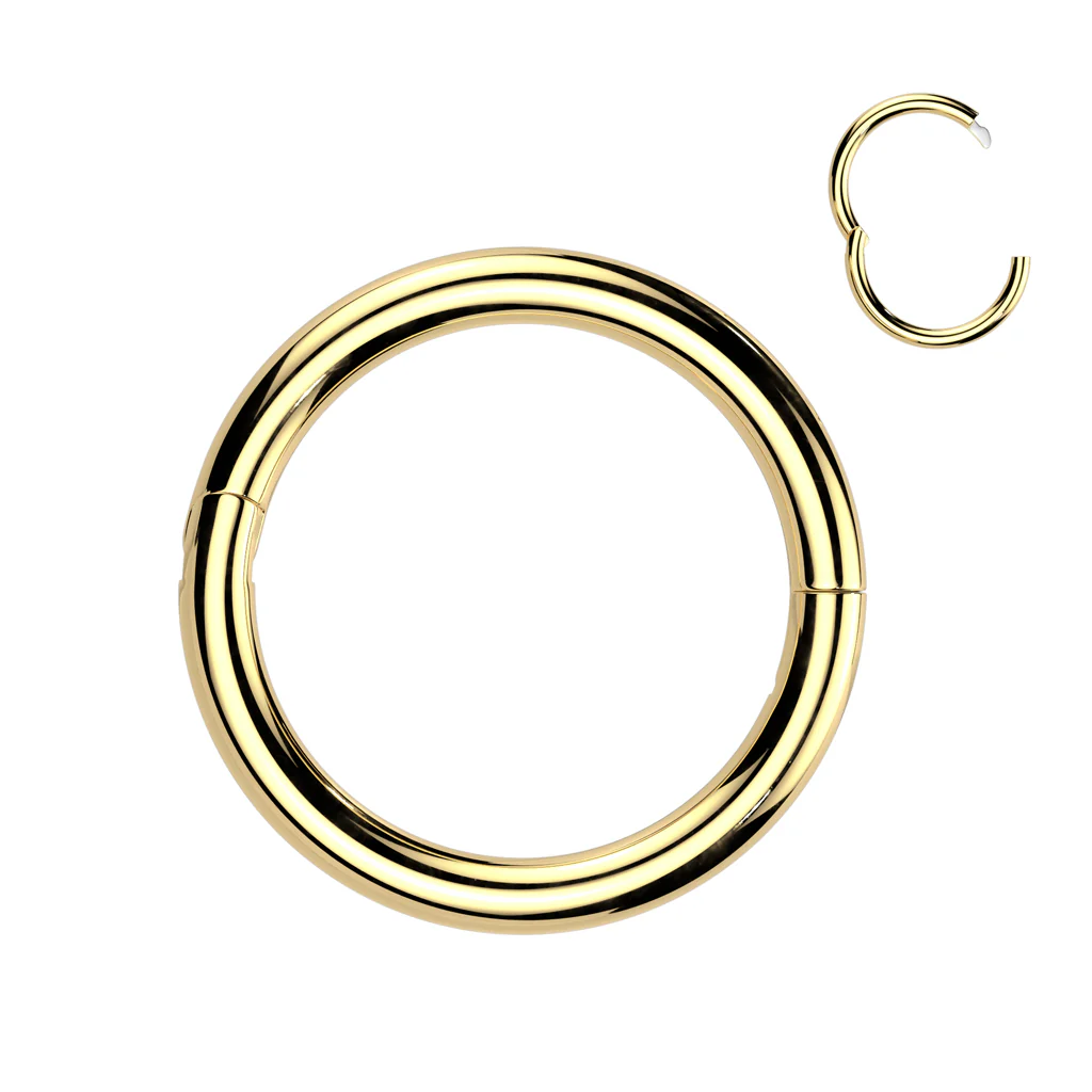 Titanium New Secure Hook Hinged Segment Hoop Ring Cartilage 14G - Image 4