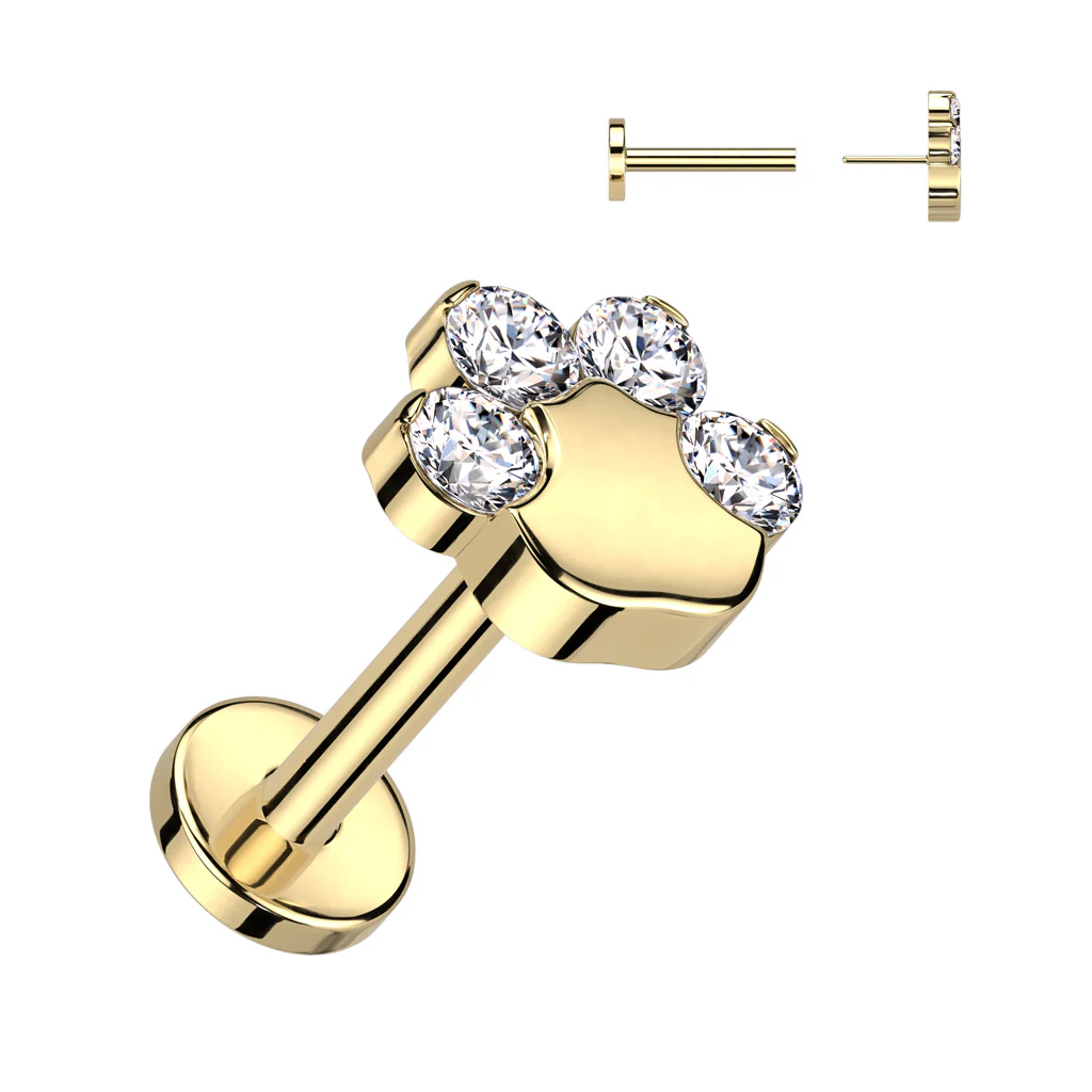 Titanium Threadless Push in CZ Paw Top Labret Cartilage - Image 6
