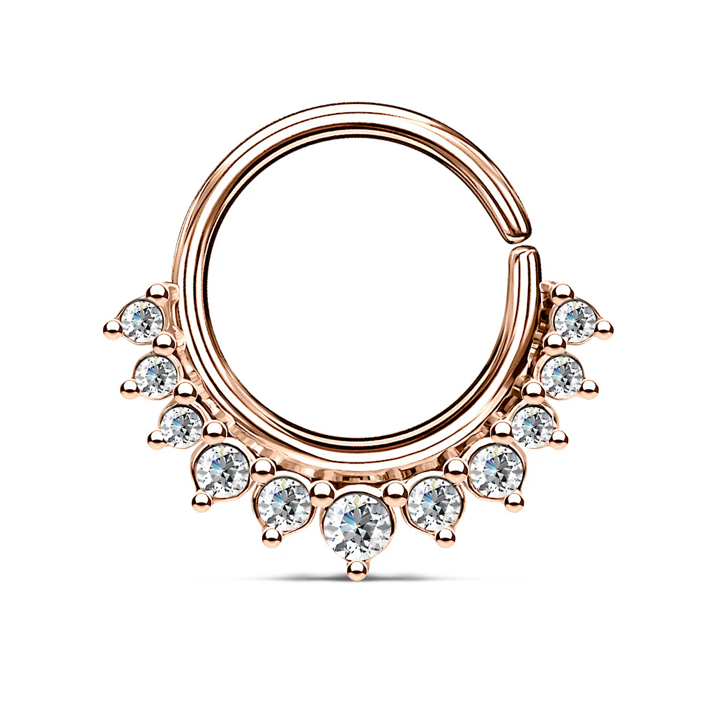 CZ Bendable Nose Septum Ear Cartilage Daith Helix Tragus Rings - Image 4
