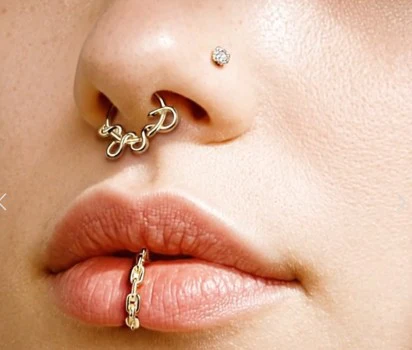High Precision Snake Hinged Segment Hoop Ring for Nose Helix