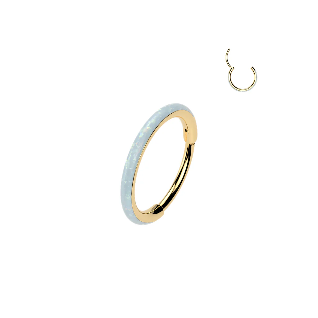 Hight quality Opal Line Hinged Segment Hoop Rings Tragus Ear Cartilage - Image 5