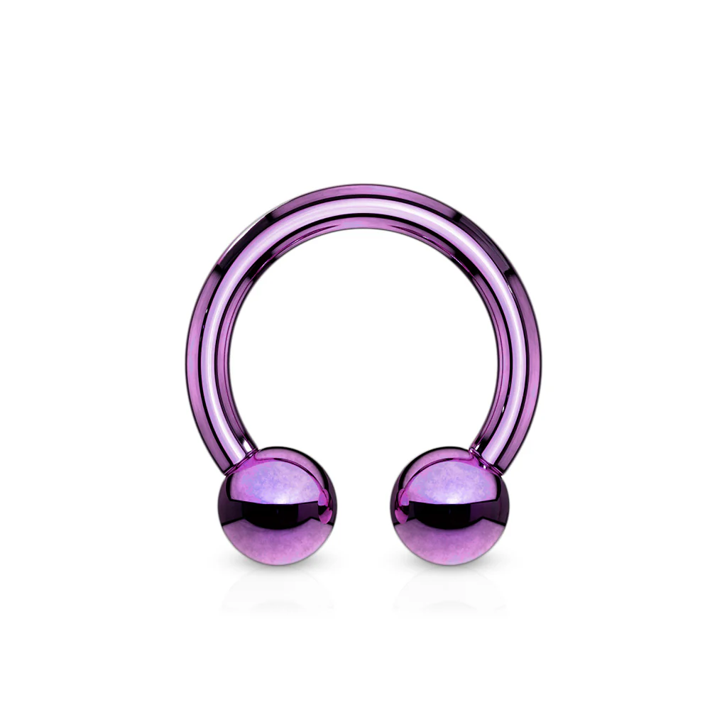 Pair Titanium Horseshoe Circular Barbell Nose Septum Helix Piercing - Image 7