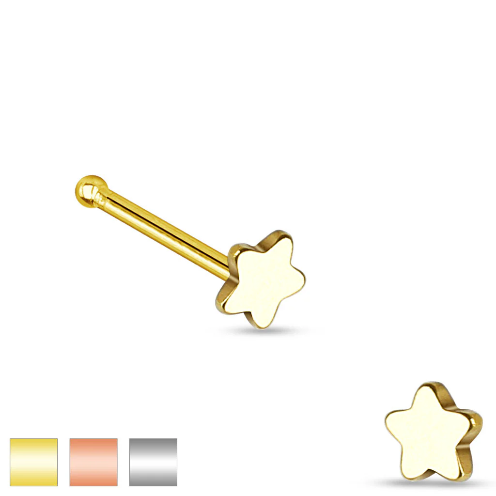Star Top 316L Surgical Steel Nose Studs