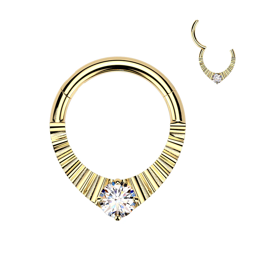 Titanium Hinged Segment Teardrop Hoop Ring Daith Septum Cartilage