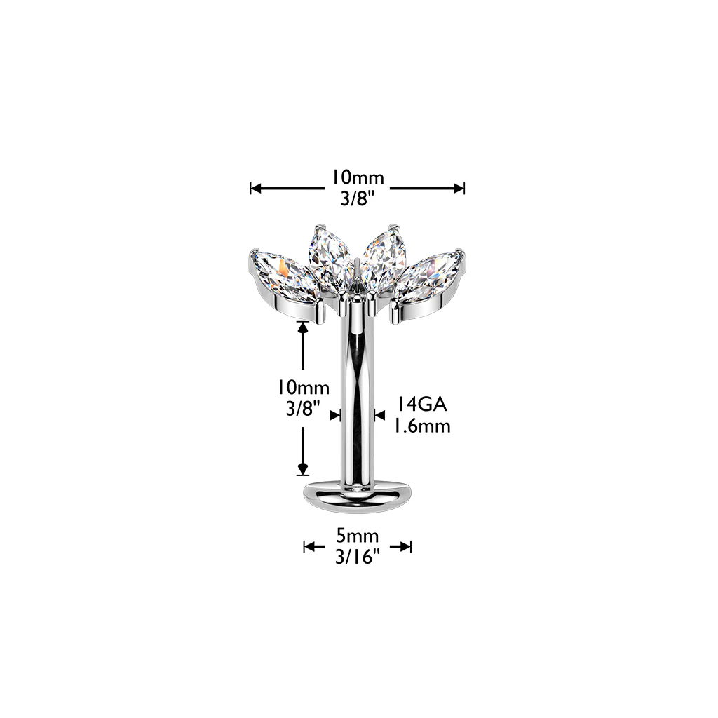 Titanium Threadless Floating Convex Base 4 Marquise CZ Fan Top Belly Button Ring - Image 5